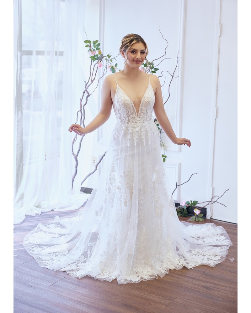 Fitted and Flare Plunge V-neck  Wedding Dress - Plus Size - OU-F1002P